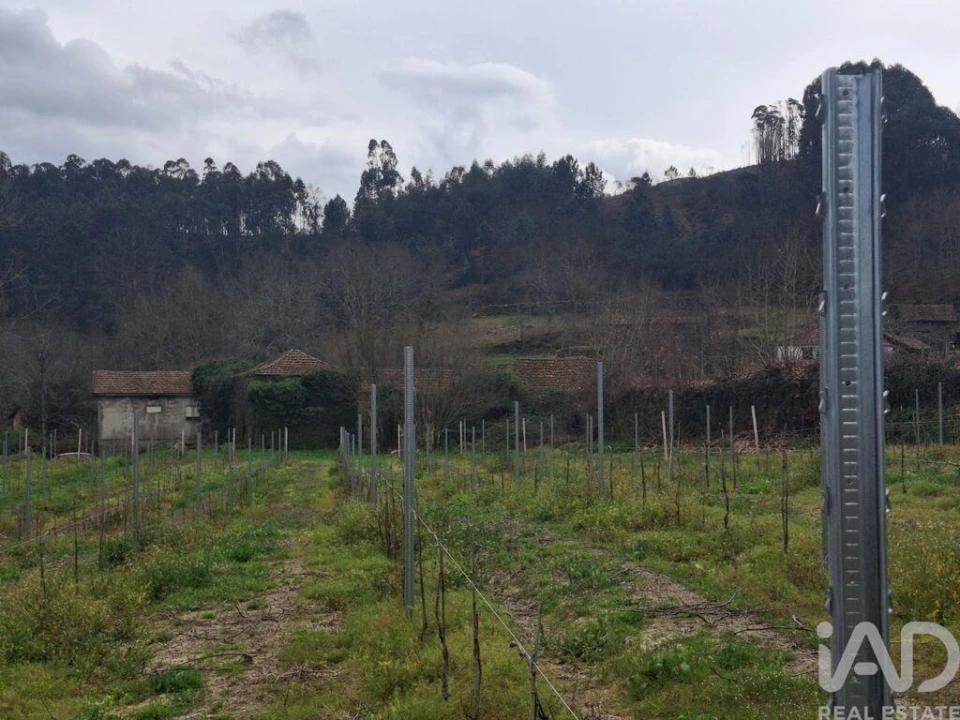 Quinta para Venda em Vila Boa de Quires e Maureles Foto 6