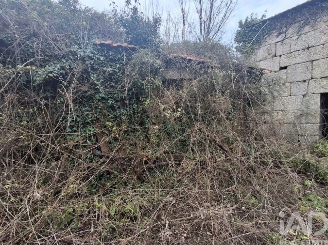 Quinta para Venda em Vila Boa de Quires e Maureles Foto 9