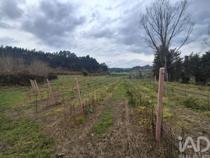 Quinta para Venda em Vila Boa de Quires e Maureles Foto 14