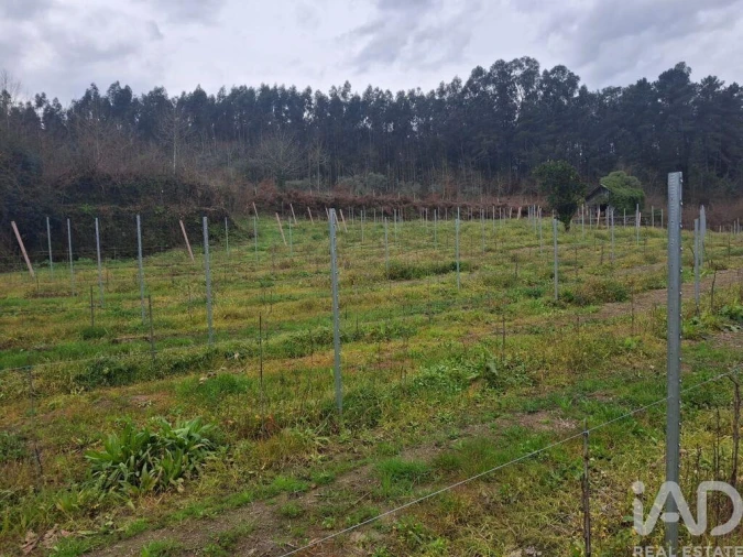Quinta para Venda em Vila Boa de Quires e Maureles Foto 8
