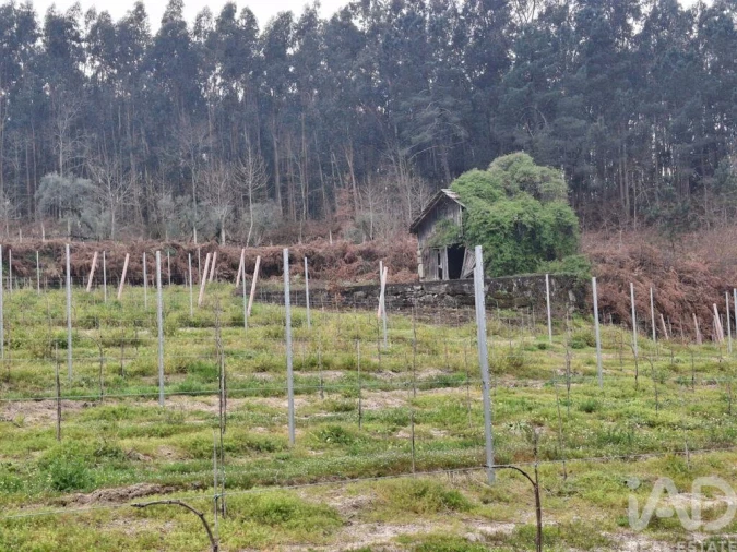 Quinta para Venda em Vila Boa de Quires e Maureles Foto 7