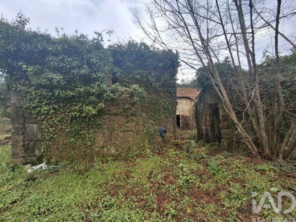 Quinta para Venda em Vila Boa de Quires e Maureles Foto 12