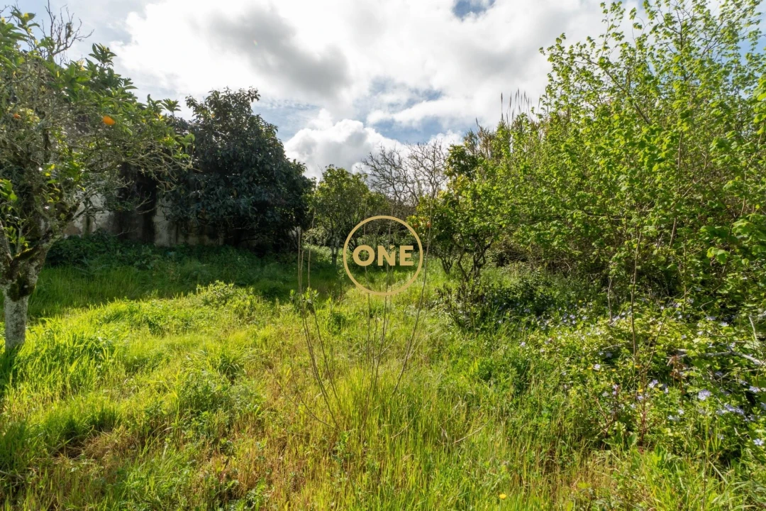 Quinta T5 para Venda em Sobral de Monte Agraço Foto 9