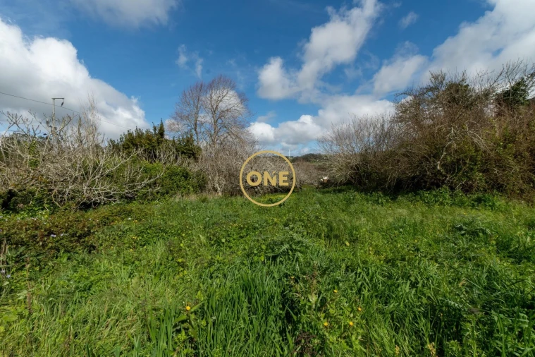 Quinta T5 para Venda em Sobral de Monte Agraço Foto 8