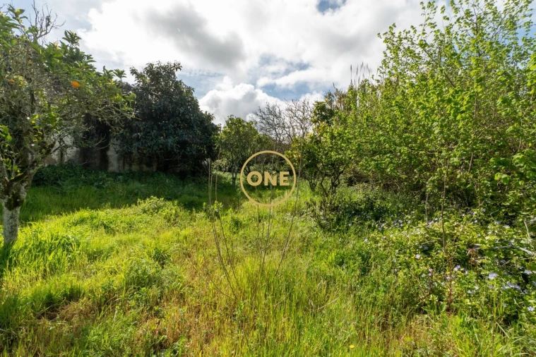 Quinta T5 para Venda em Sobral de Monte Agraço Foto 9