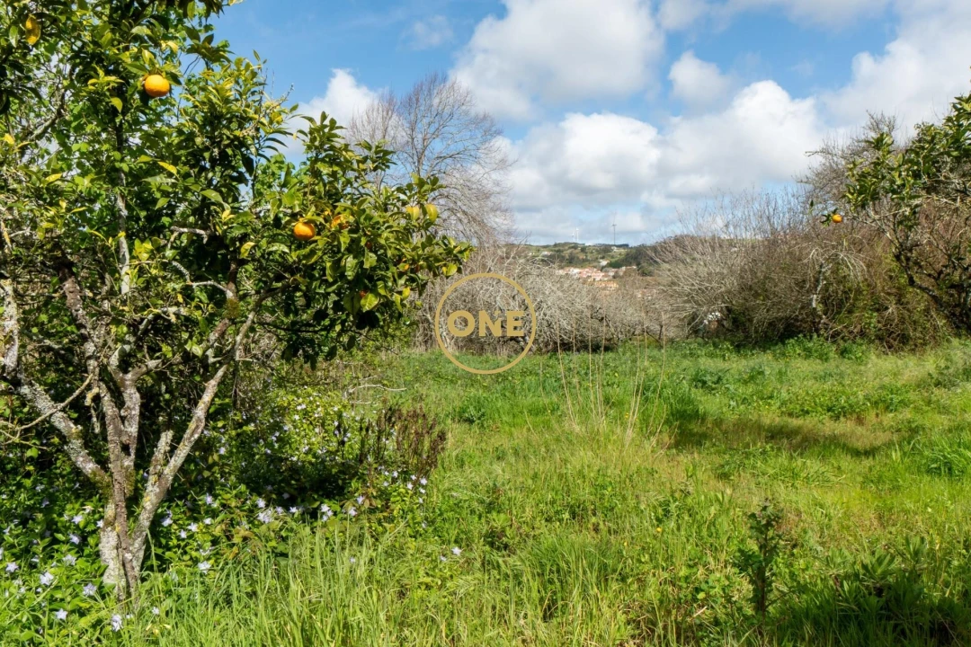 Quinta T5 para Venda em Sobral de Monte Agraço Foto 10