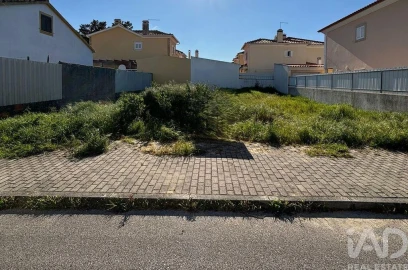 Terreno para Venda em Azeitão (São Lourenço e São Simão)