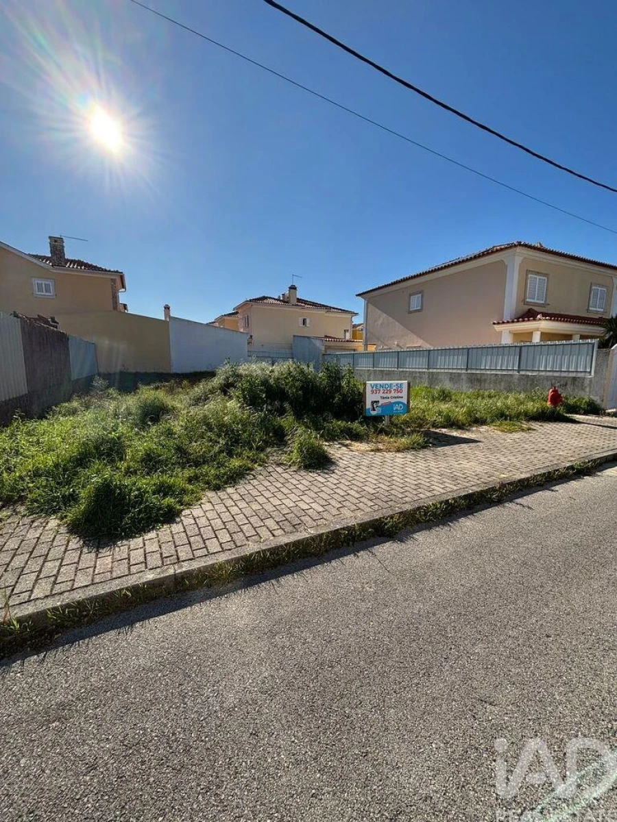 Terreno para Venda em Azeitão (São Lourenço e São Simão) Foto 4