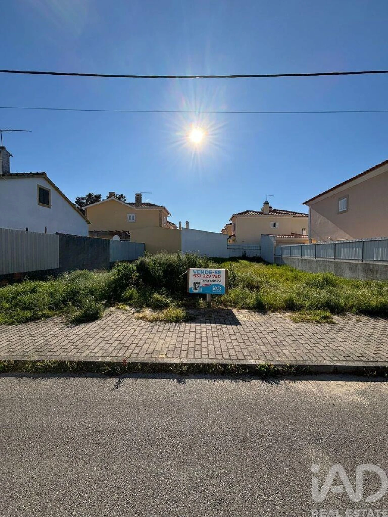 Terreno para Venda em Azeitão (São Lourenço e São Simão) Foto 2
