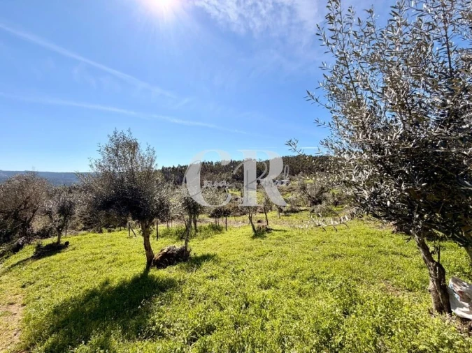Moradia T2 para Venda em Figueiró dos Vinhos e Bairradas Foto 43