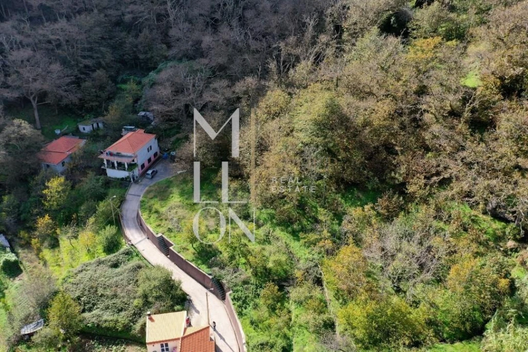 Terreno para Venda em Curral das Freiras Foto 12