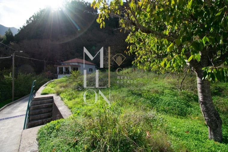 Terreno para Venda em Curral das Freiras Foto 16