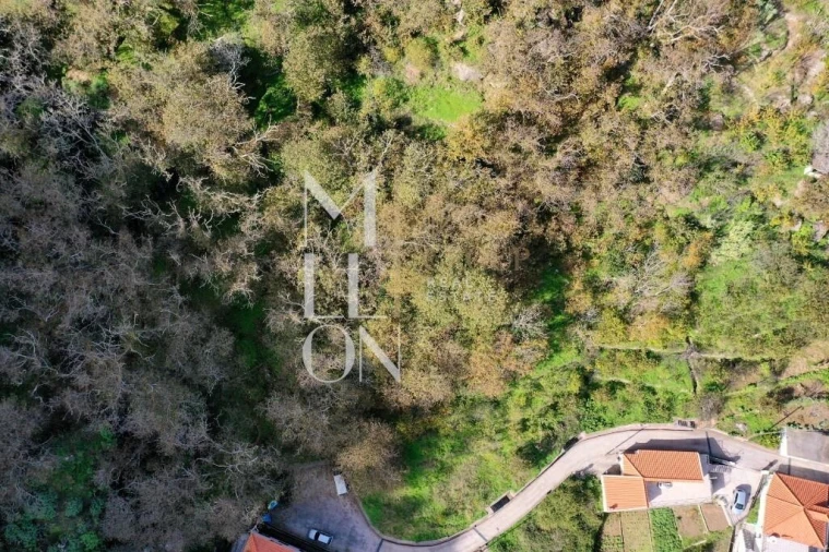 Terreno para Venda em Curral das Freiras Foto 10