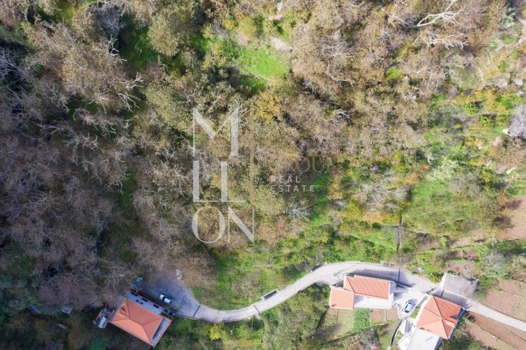 Terreno para Venda em Curral das Freiras Foto 3