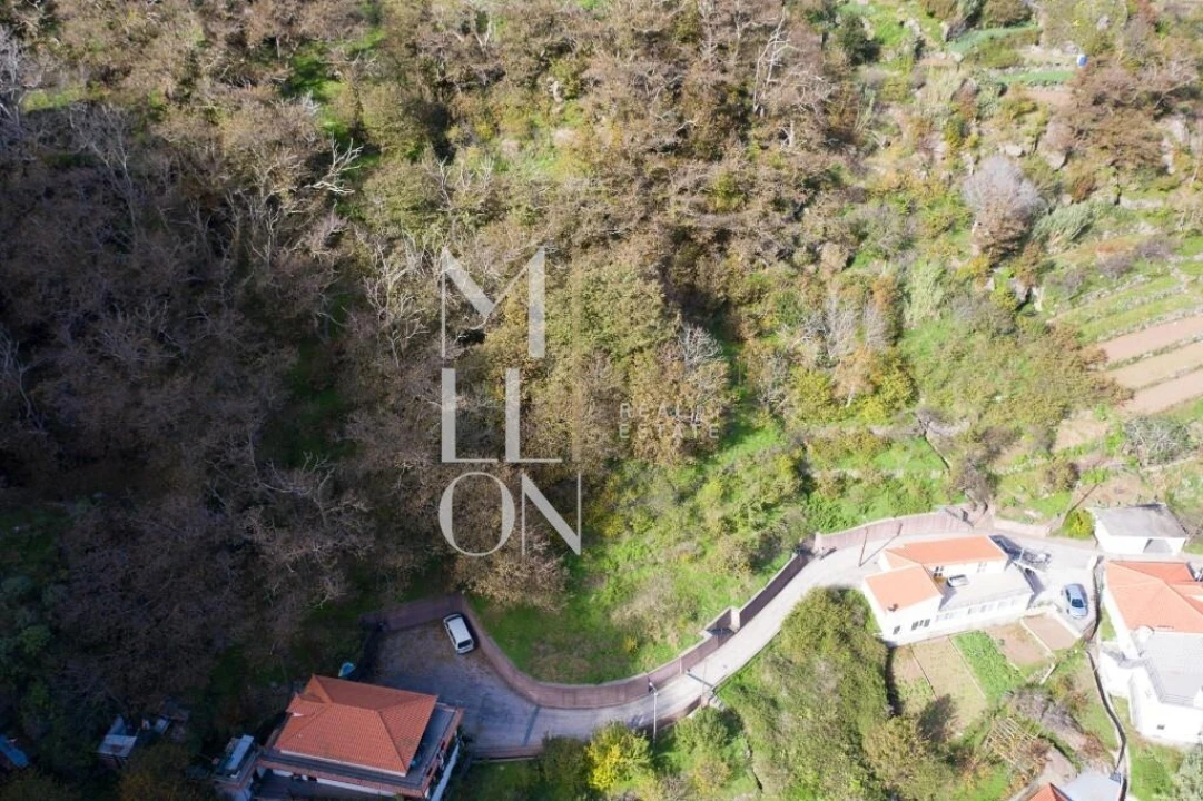 Terreno para Venda em Curral das Freiras Foto 4