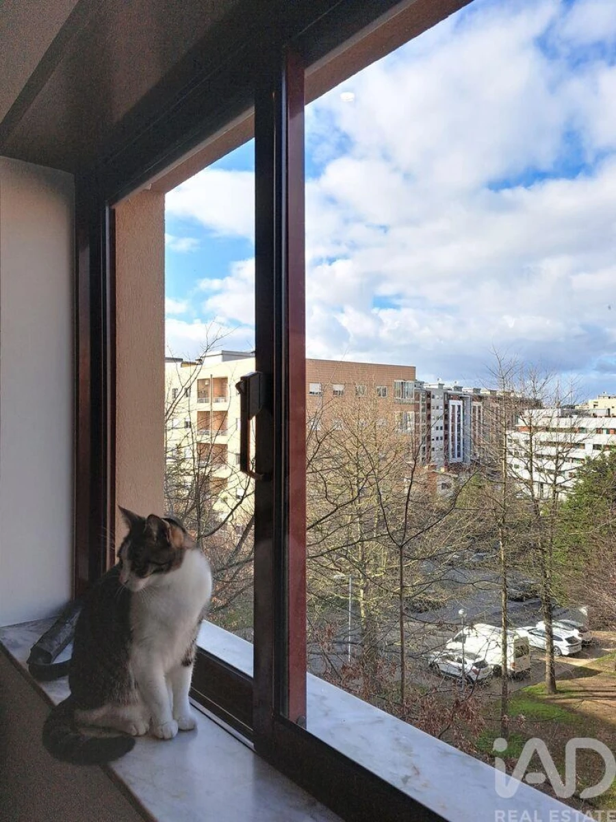 Apartamento T3 para Venda em São Vitor (Braga) Foto 13