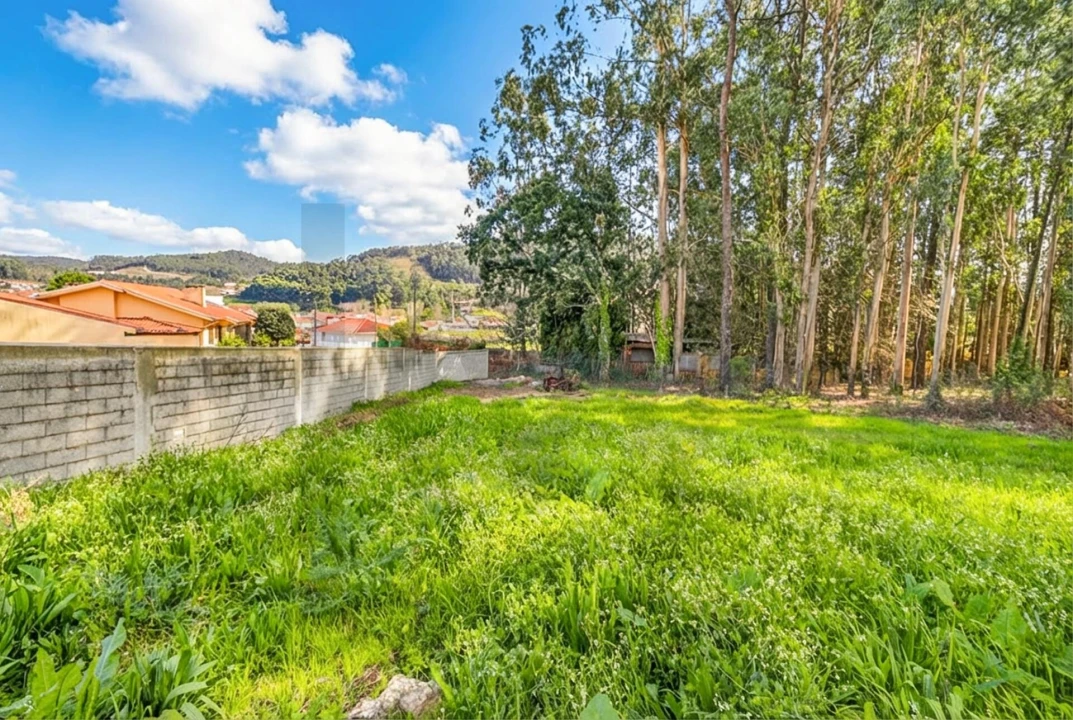 Moradia T2 para Venda em Romariz Foto 4