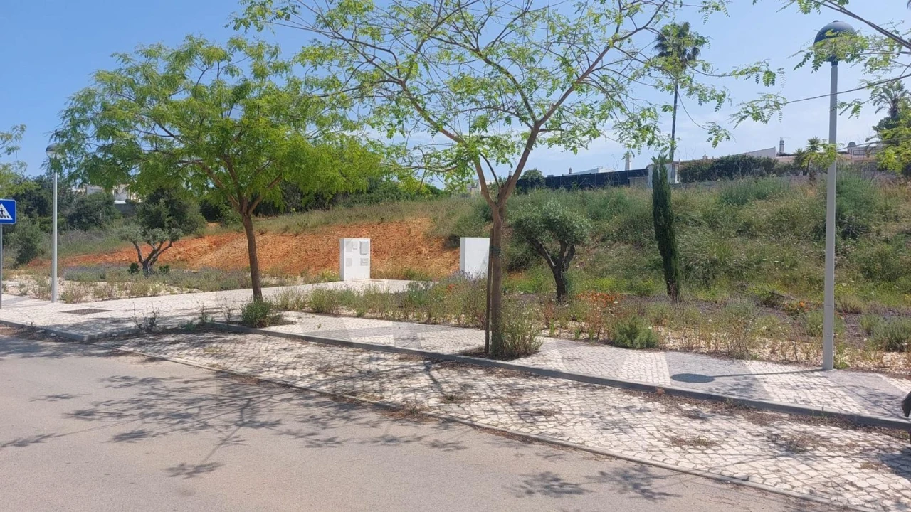 Terreno para Venda em Guia Foto 2