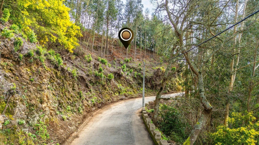 Terreno para Venda em Camacha Foto 9