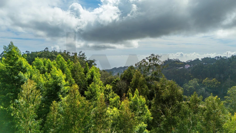 Terreno para Venda em Camacha Foto 7