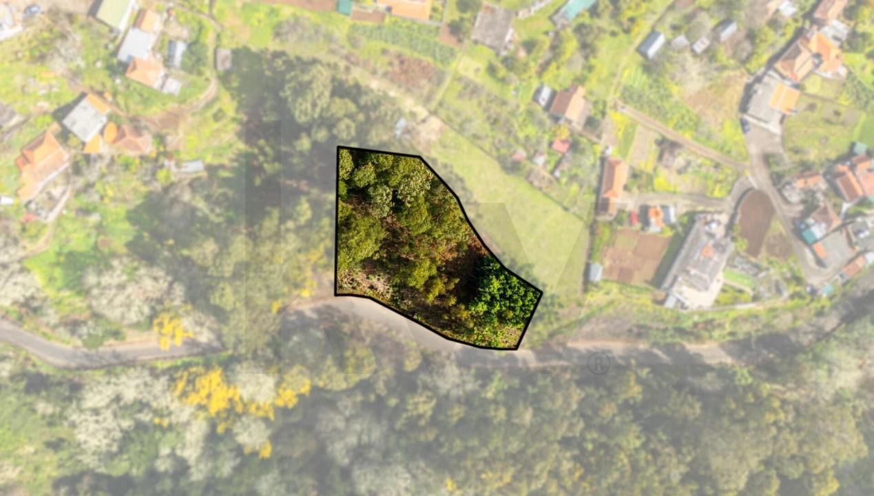 Terreno para Venda em Camacha Foto 4