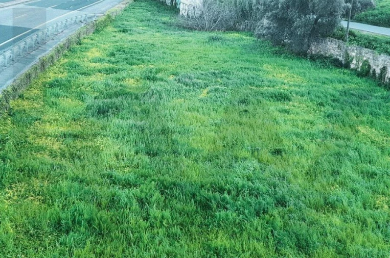 Terreno para Venda em Carcavelos e Parede Foto 3