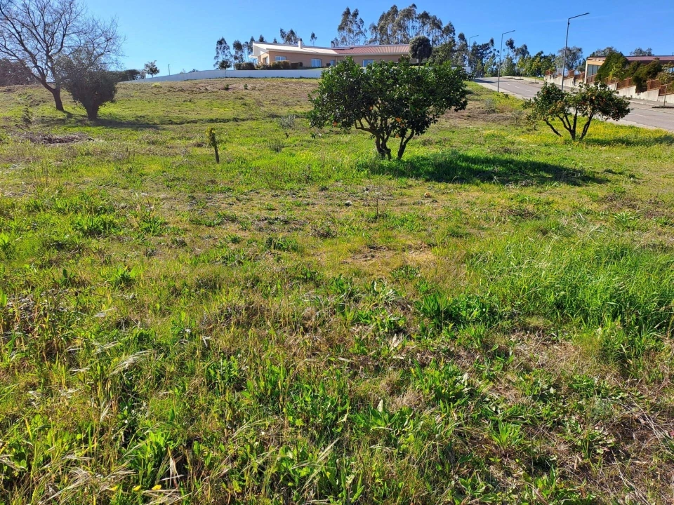 Terreno para Venda em Santa Catarina da Serra e Chainça Foto 4