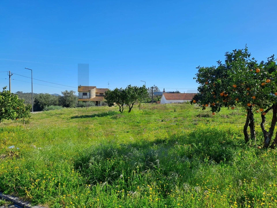 Terreno para Venda em Santa Catarina da Serra e Chainça Foto 5
