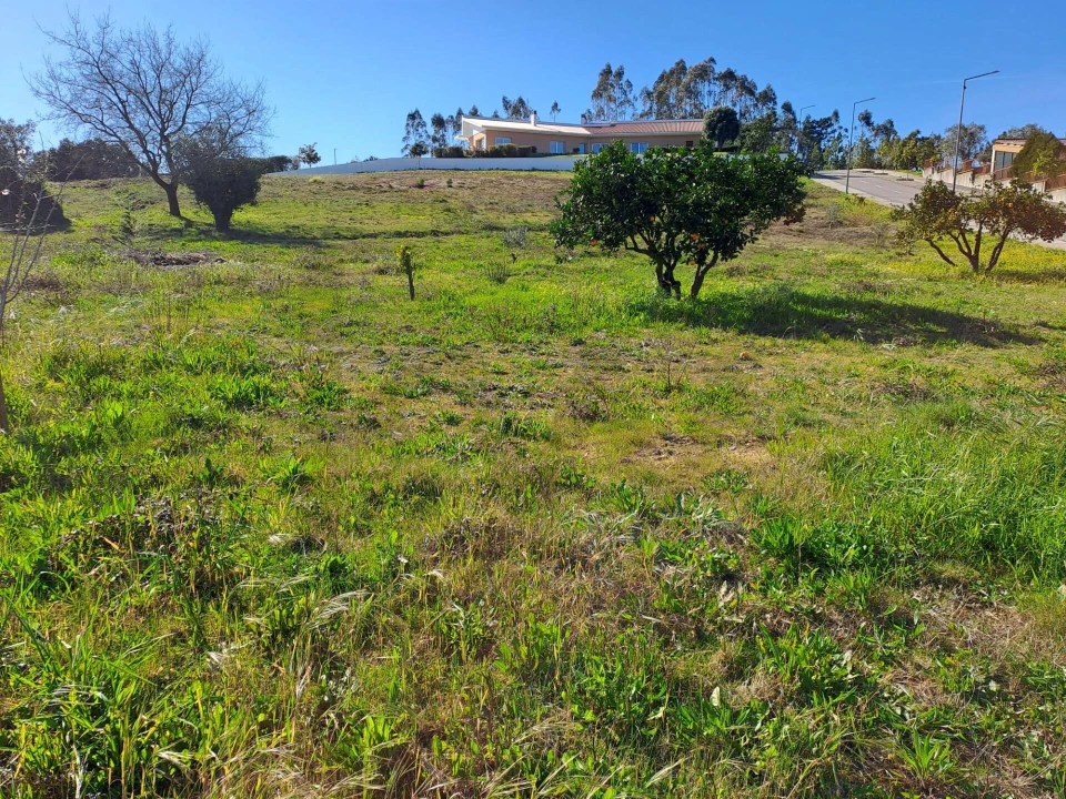 Terreno para Venda em Santa Catarina da Serra e Chainça Foto 3