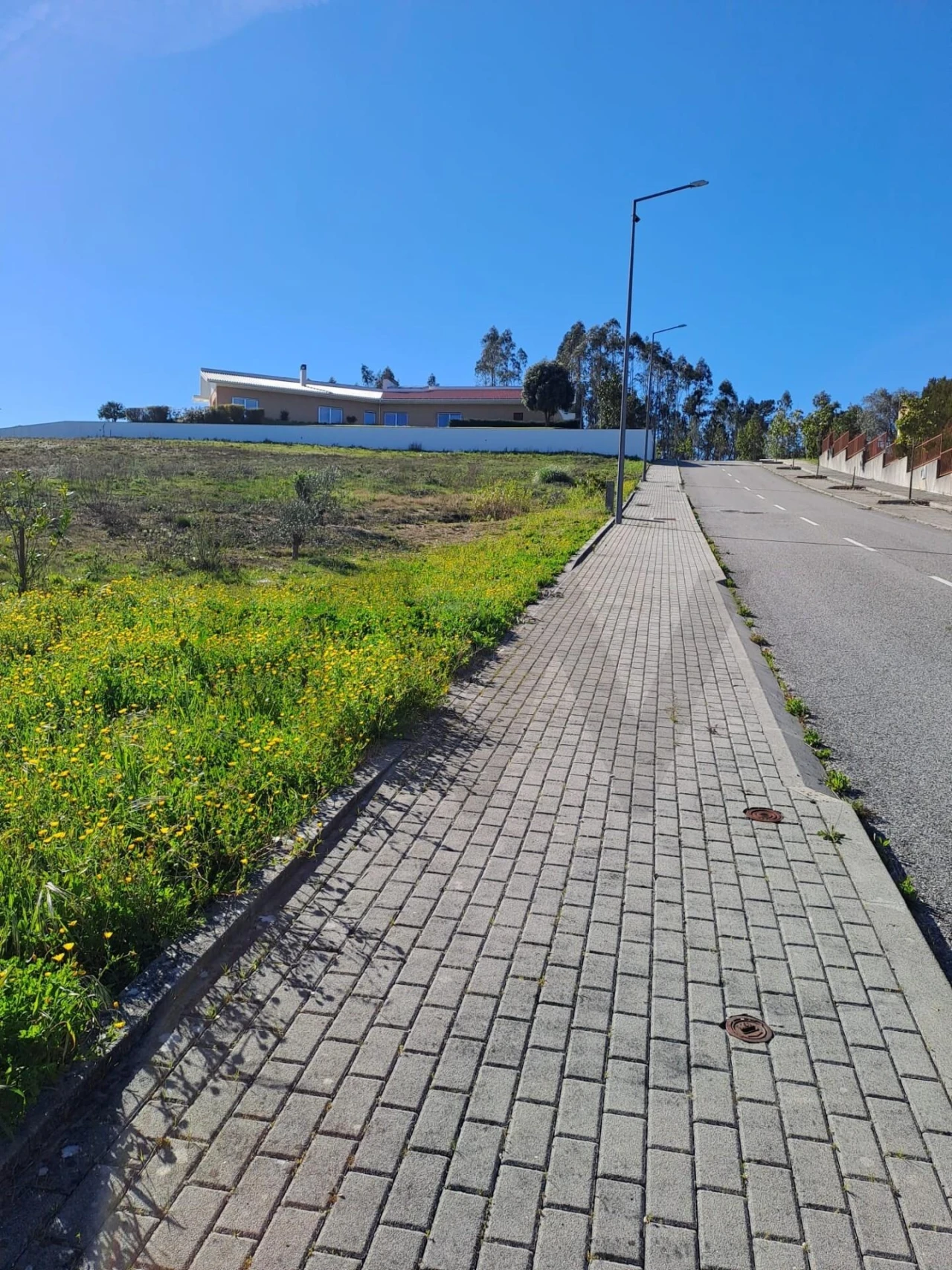 Terreno para Venda em Santa Catarina da Serra e Chainça Foto 7