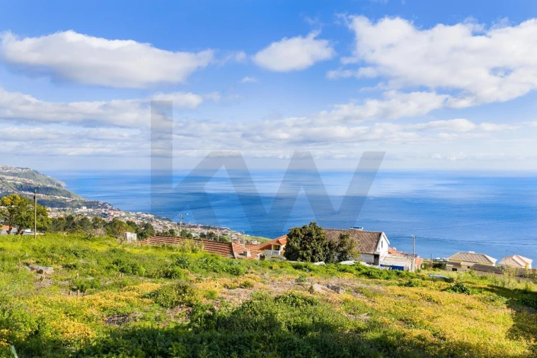Terreno para Venda em Prazeres Foto 16