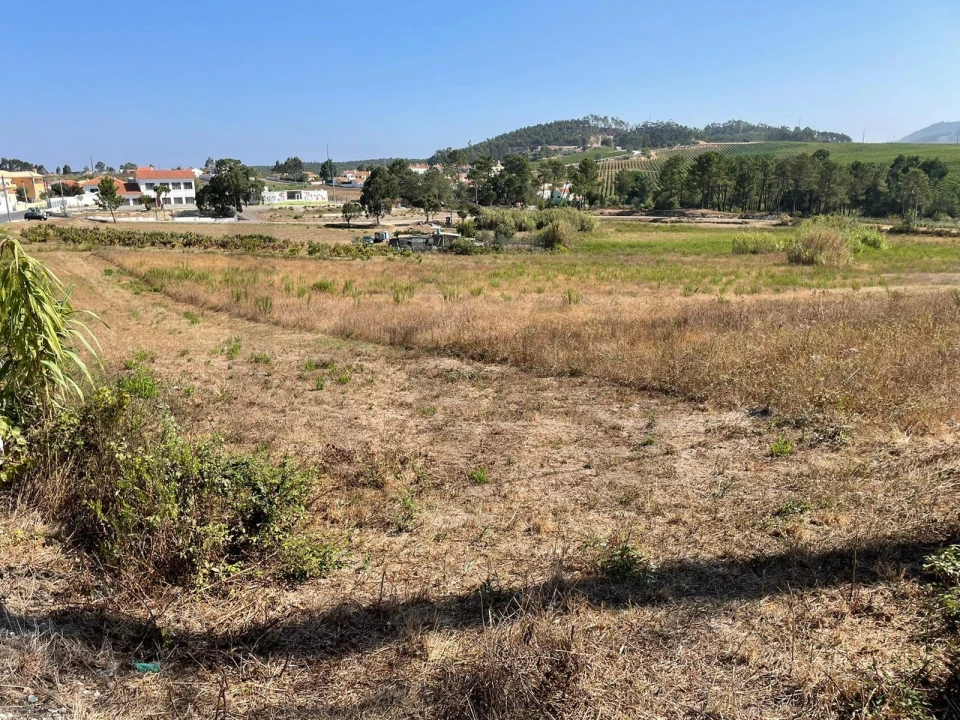 Terreno para Venda em Santa Maria, São Pedro e Matacães Foto 10