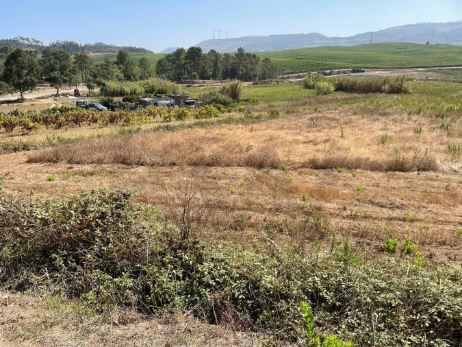 Terreno para Venda em Santa Maria, São Pedro e Matacães Foto 6