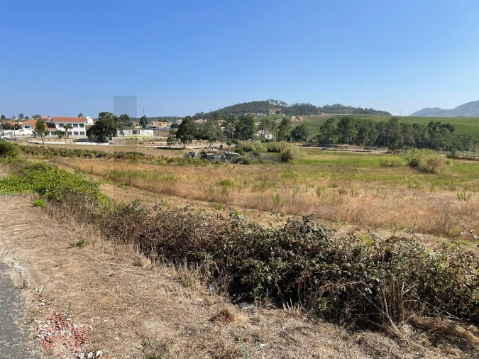 Terreno para Venda em Santa Maria, São Pedro e Matacães Foto 11