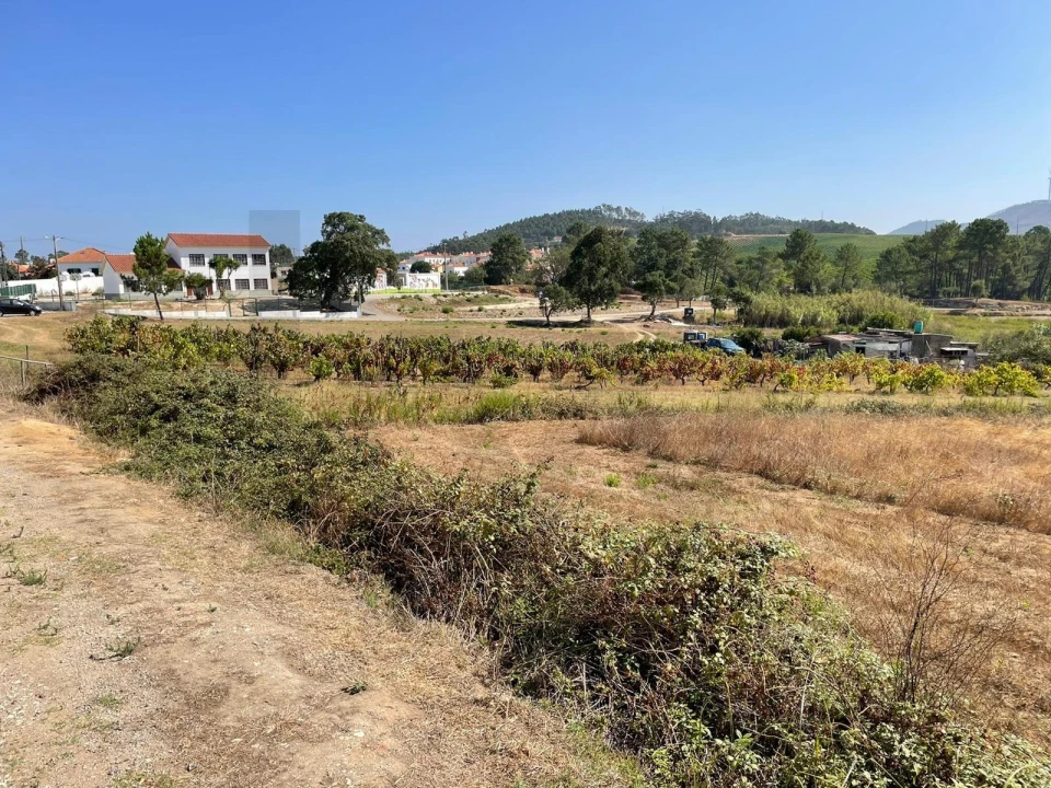Terreno para Venda em Santa Maria, São Pedro e Matacães Foto 7