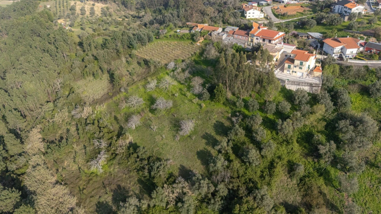 Terreno para Venda em Trouxemil e Torre de Vilela Foto 11