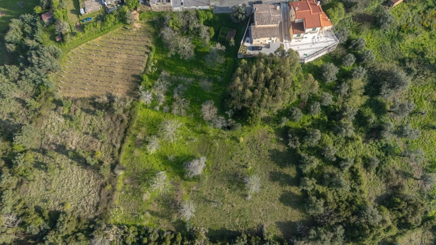 Terreno para Venda em Trouxemil e Torre de Vilela Foto 18