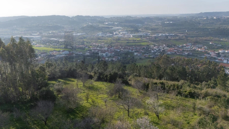 Terreno para Venda em Trouxemil e Torre de Vilela