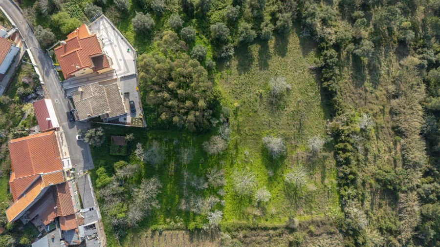 Terreno para Venda em Trouxemil e Torre de Vilela Foto 16