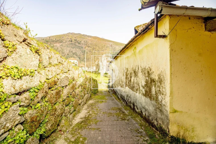 Moradia T3 para Venda em Teixeira e Teixeiró Foto 5