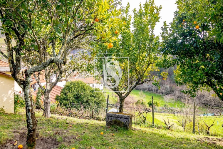 Moradia T3 para Venda em Teixeira e Teixeiró Foto 29