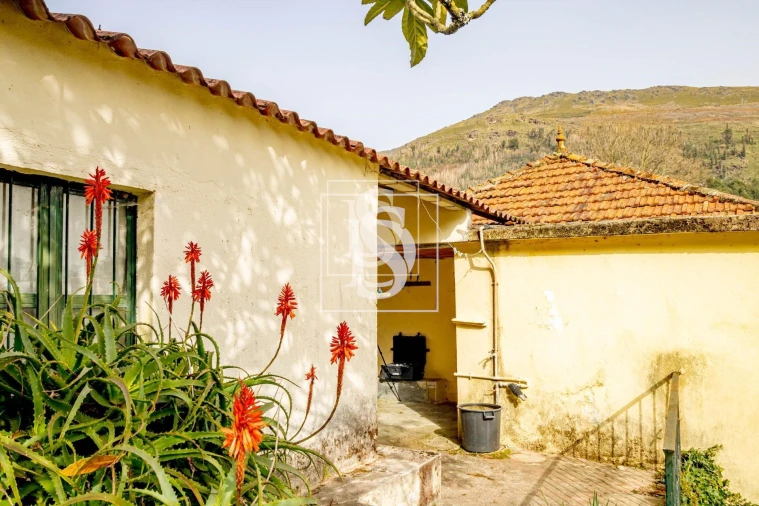 Moradia T3 para Venda em Teixeira e Teixeiró Foto 23