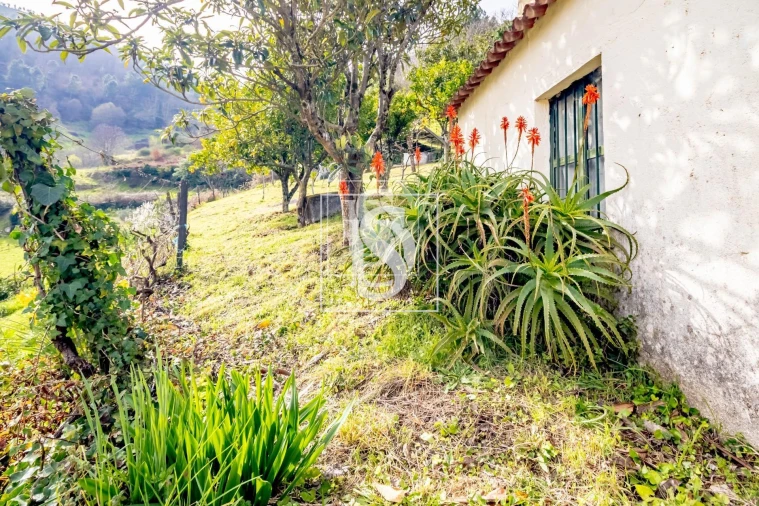 Moradia T3 para Venda em Teixeira e Teixeiró Foto 26