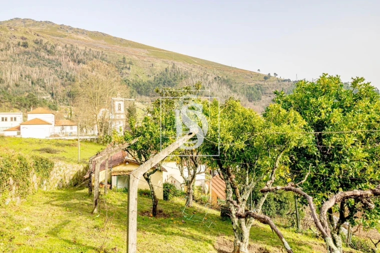 Moradia T3 para Venda em Teixeira e Teixeiró Foto 30