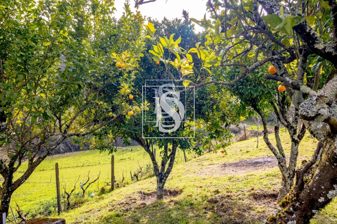 Moradia T3 para Venda em Teixeira e Teixeiró Foto 31