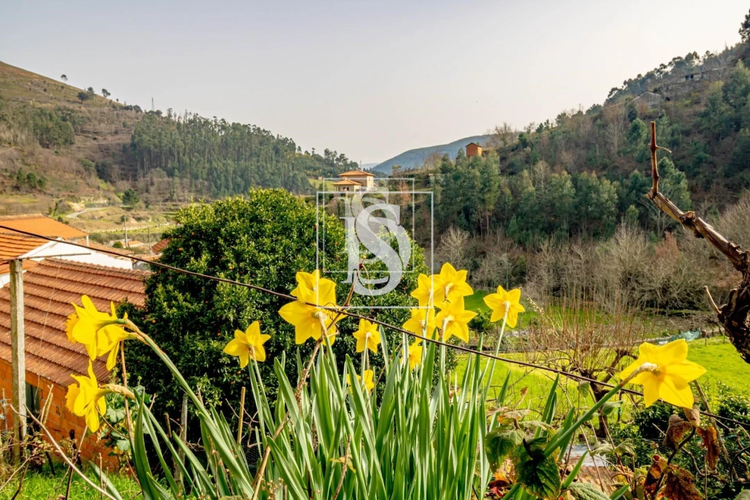 Moradia T3 para Venda em Teixeira e Teixeiró Foto 35