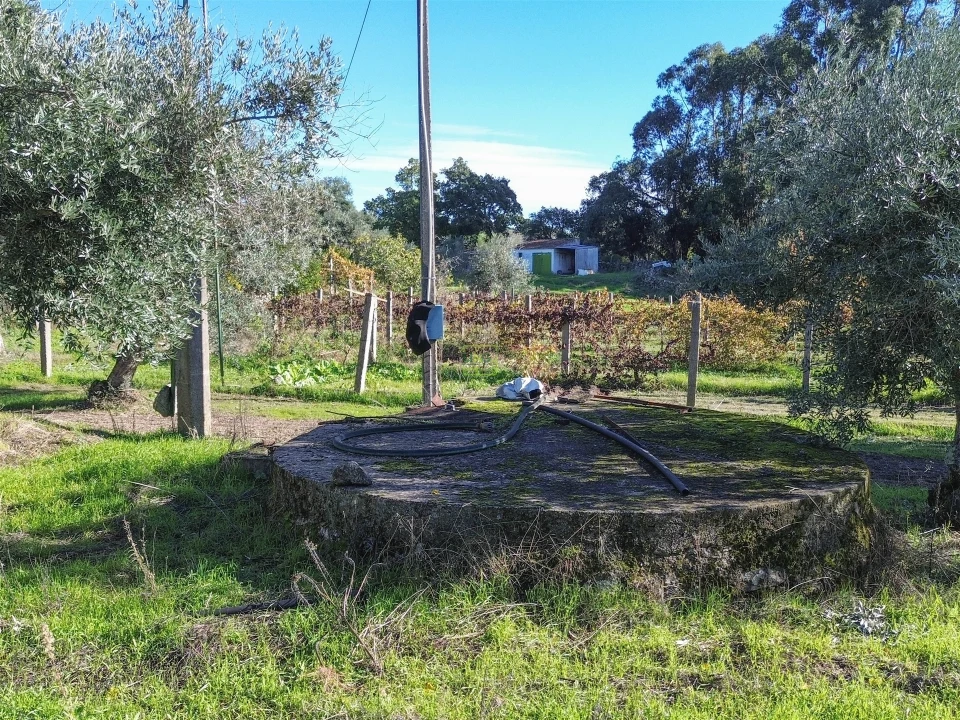 Terreno Misto para Venda em Aldeia do Bispo, Águas e Aldeia de João Pires Foto 21