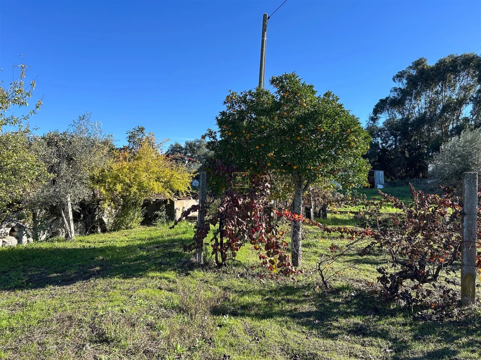 Terreno Misto para Venda em Aldeia do Bispo, Águas e Aldeia de João Pires Foto 64