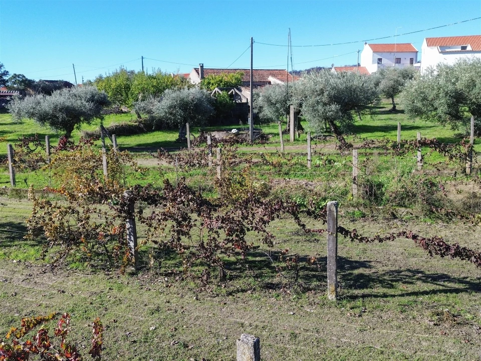 Terreno Misto para Venda em Aldeia do Bispo, Águas e Aldeia de João Pires Foto 10