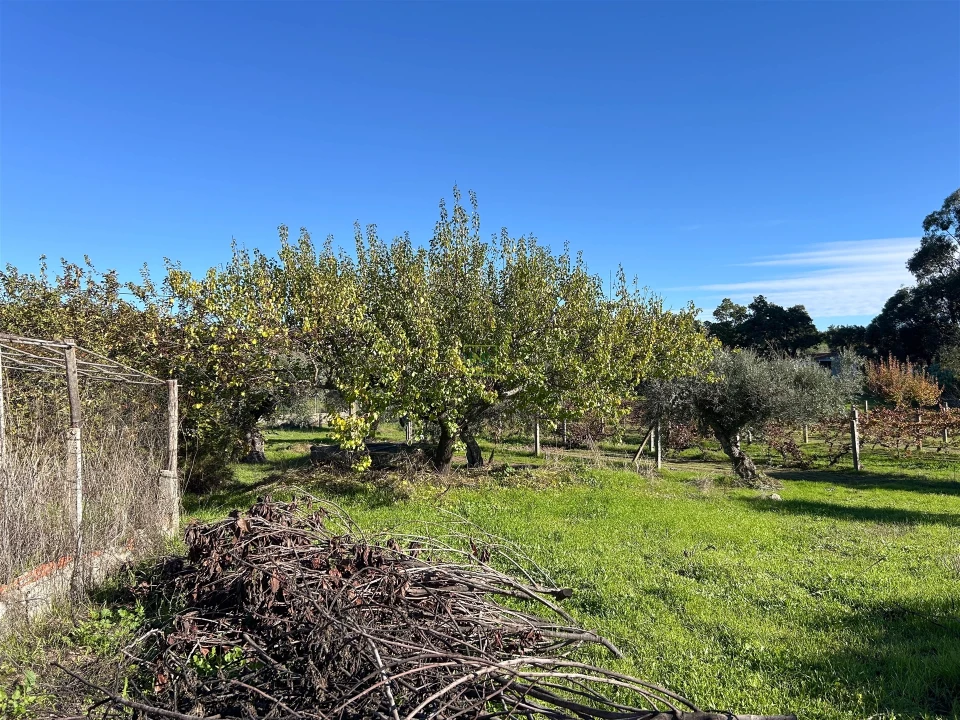 Terreno Misto para Venda em Aldeia do Bispo, Águas e Aldeia de João Pires Foto 47